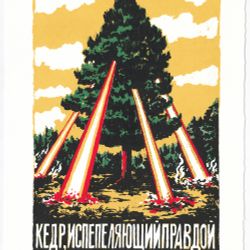 Кедр, испепеляющий правдой