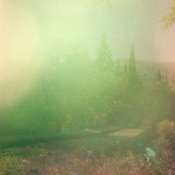 Long Journey #6