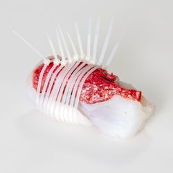 Язык без костей