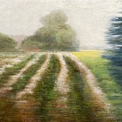 Пейзаж с полем
