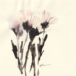 Chrysanthèmes