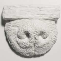 Запах