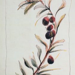 Оливковая ветвь