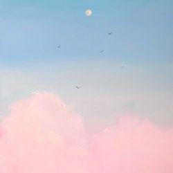 Pink sky
