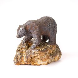 Ursus arctos (бурый медведь)
