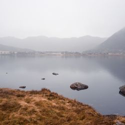 The rocks