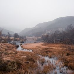 The stream