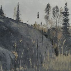 У серого камня