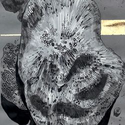 Кораллы и линии