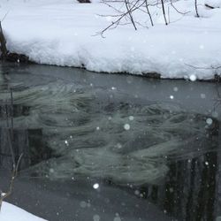 Окут