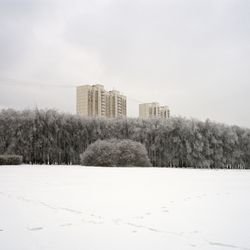 Untitled VI