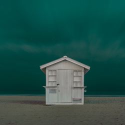 Пляжный житель 3 / Beach resident 3 (Майами, 2019)
