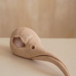 Птичья раковина