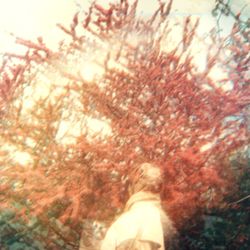 Long Journey #3