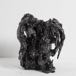 КОРЕНЬ
