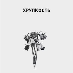 Хрупкость