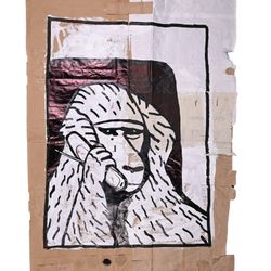 Baboon