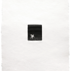 №0.1