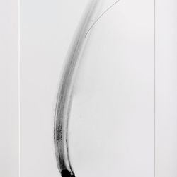 Singular