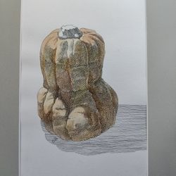 Тыква. Осень