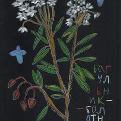 Багульник болотный