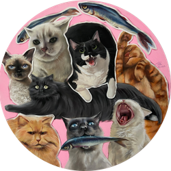 #Insta cats