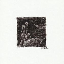 Swans 01