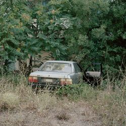 Реверс IX. 60x70