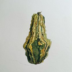 Зеленая тыква