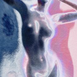CTRL–Other #12