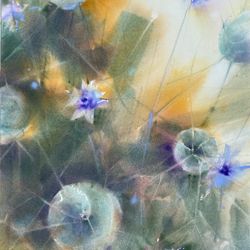 Нигелла (Love-in-a-Mist 2)