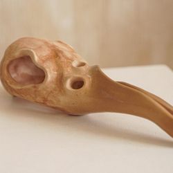 Птичья раковина большая