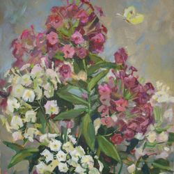 Флоксы