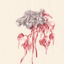 Fleur 04
