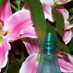 Untitled IV