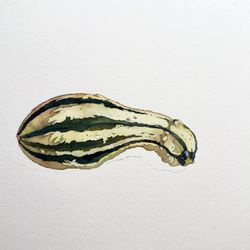 Полосатая тыква