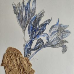 Крокусы