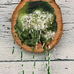 Сныть зацвела