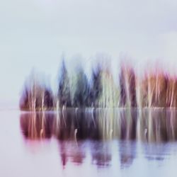 Из серии "Исчезнуть, замолчать, услышать"