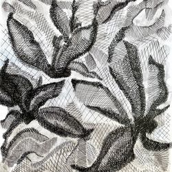 Линии