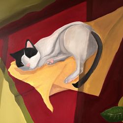 Спящий кот