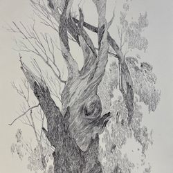 Деревья. Орловская обл.
