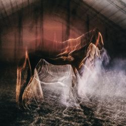Untitled I