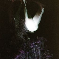 Fragments 1