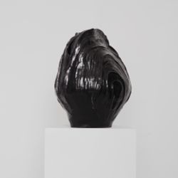Molluska 5'