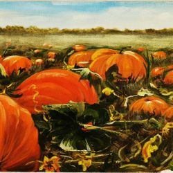 Pumpkin field