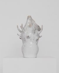Molluska 11'