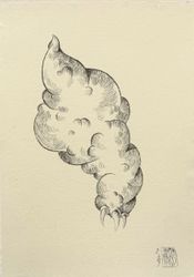 Лапка Облако, 1