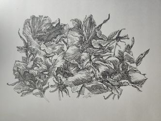 Шиповник