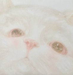Щёчки
